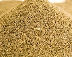Manufacturers Exporters and Wholesale Suppliers of Celery Seed Amritsar Punjab